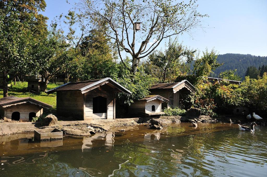 Bodenhof Ferienwohnungen Фибербрюнн Экстерьер фото